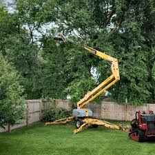 Best Tree Preservation Services  in Ester, AK